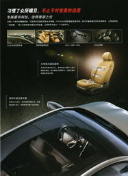 常德星都汽車銷售服務(wù) 專業(yè)品質(zhì)，駕享未來(lái)